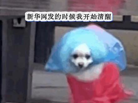 我再也不会被谣言带着走了#山楂树下回应山东限售是谣言 #山楂树下