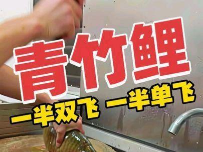 今天顾客点了一条青竹。一半切双飞,一半切单飞。#横县鱼生 #鱼生 #生鱼片