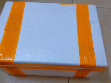 朋友送的章红鱼,也叫红甘鱼,香煎太好吃了#抖音美食推荐官 #香煎章红鱼 #红甘鱼