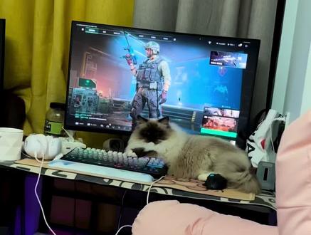 我也常常因为有你而感到幸福 #三角洲 #蚀金玫瑰