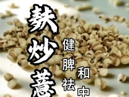 为何麸炒薏苡仁,被称为脾胃的“祛湿暖宝宝”? #薏苡仁 #中医是中华民族的瑰宝 #创作者中心 #创作灵感 #中药材