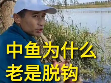 中鱼为什么老是脱钩?为什么老是跑鱼?#户外钓鱼 #野钓 #户外钓鱼 #钓鱼知识小课堂 #休闲野钓 #休闲野钓