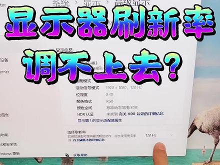 电脑常见故障及解决办法持续更新🀄️#电脑 #电脑技巧 #电脑装机