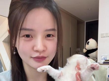 小猫“重启键”在哪🥲 #九一NineOne #吸猫 #金加白 #幼猫 #可爱到犯规