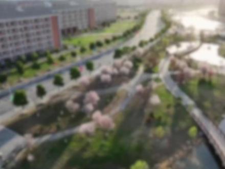 在“理工科为王”的时代,你知道安理工有多强吗? #安徽理工大学 #高考 #大学 #理工科 #大学专业