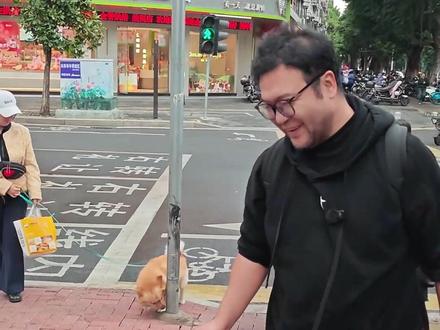 我亖之前系列第13期!传统花灯是非亖不可吗.... #地方特色 #生活纪实 #市井生活