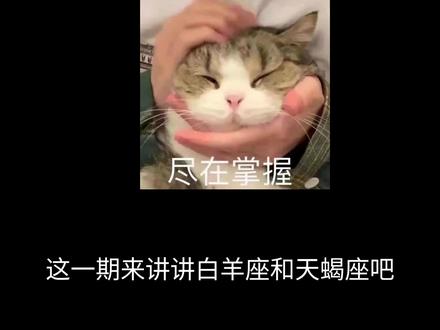 白羊座和天蝎座#白羊 #天蝎 #白羊座 #天蝎座