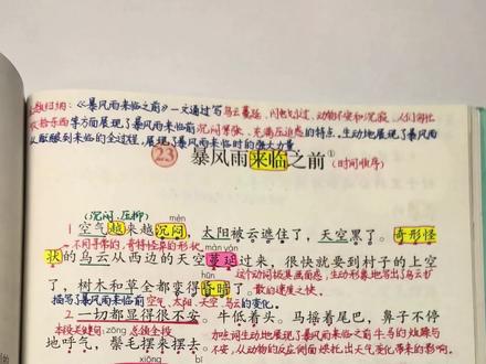 #小学语文 三年级下册《暴风雨来临之前》