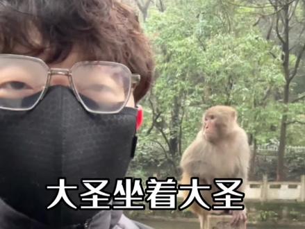 从前,有座满是泼猴的黔灵山。#以旅行见世界