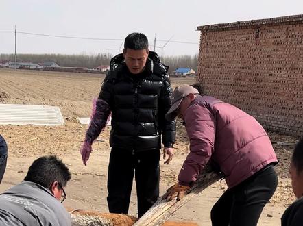 我就是每天都在养殖服务行业奋斗的工作者 #牛羊应急处理 #牛难产助产 #养犬技术 #育狗知识分享 #狗狗救助基地