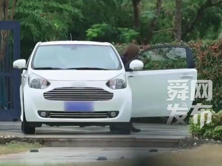 千万粉丝网红“痞幼”开阿斯顿·马丁微型车上恋综,被误认为是“老头乐”,经纪人回应:豪车是租的#老头乐 #回应 #痞幼