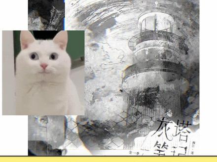 刘师傅你也终于下海了 #刘若班 #灰塔笔记