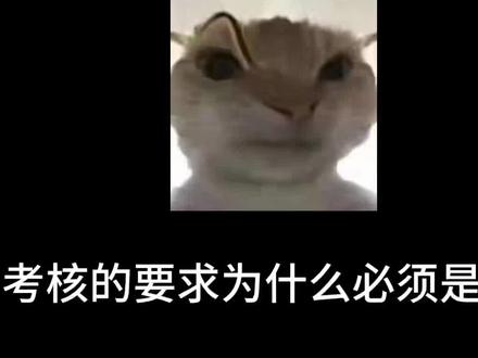 护子考核为什么要单三#三角洲护航