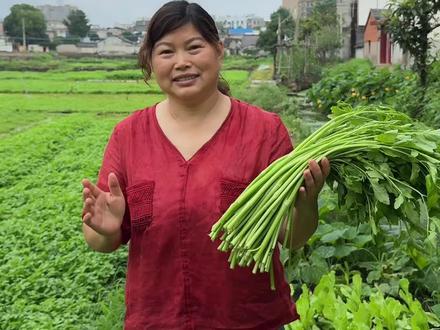 #纯天然绿色食品 桐城特产泗水桥水芹菜