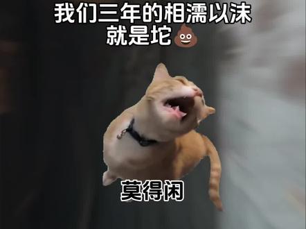 成为了唤醒同伴的鱼@电影得闲谨制 #电影得闲谨制 #猫meme #猫meme小剧场 #上热门 #fyp