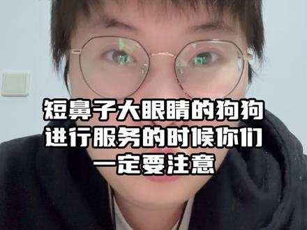 朋友们特殊犬种一定要注意。 狗狗自己在房间里玩,房间里只有两个碗,期间没有人开门,自己眼睛就红了o(╥﹏╥)o#宠物店 #宠物店日常 #宠物店店主 #宠物店经营