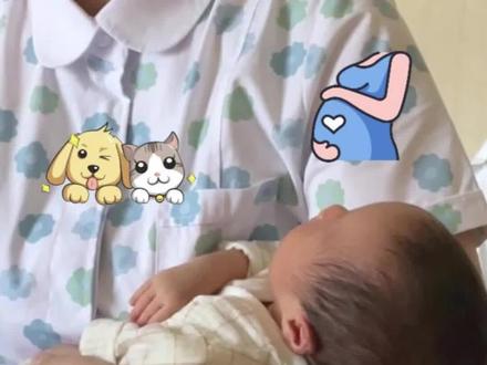 新生儿可以接触小猫小狗吗?会不会有问题?#萌姐带仨娃 #育婴知识 #人类幼崽