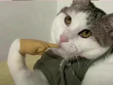 原来聊天也可以这样有趣,越聊越上头~#多闪 #小火人AI聊天 #多闪