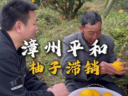 这是一个因为偷了别人的柚子而引发的故事#平和县 #柚子 #果农 #滞销 #vlog日常