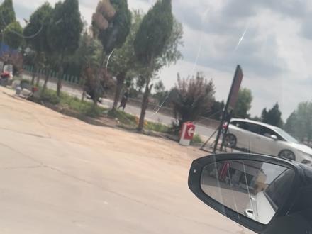 给车加完油碰到一位苦行僧 三步一跪为世人祈福 心里还是挺震撼的#苦行僧