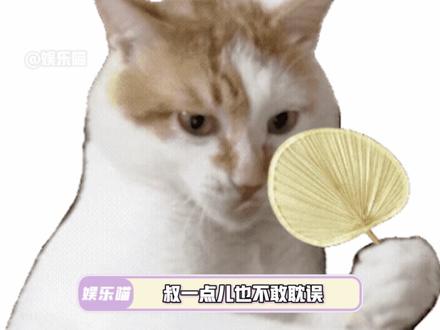 孩子妈:就值12块吗#搞笑 #段子 #梗 #万万想不到