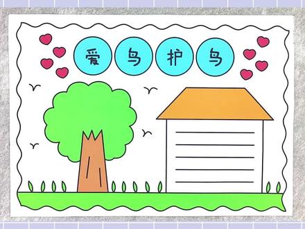 爱鸟护鸟手抄报,简单又漂亮!#爱鸟护鸟手抄报 #手抄报