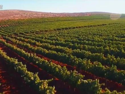 带你一起进入流奶与蜜之地!