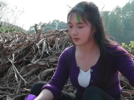 广西的表妹太难了,刚砍完甘蔗又要开始种了。鱼和熊掌不可兼得,这个世界上本来就没有两难全的事,老人在家里帮带带娃,年轻人在外面才能安心的工作。#我的乡村生活#2023 #我的乡村生活 @抖音小助手