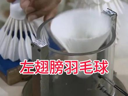 羽毛球你不知道的事 #冷知识 #羽毛球 #体育 #奇闻趣事