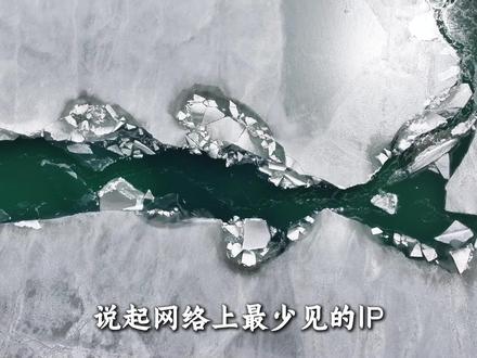 《生命树》拍摄地——青海,它究竟有何魅力? 说起网络上少见的IP——青海绝对榜上有名......#生命树 #看了生命树想去青海 #青海 #一分钟带您了解青海 #吹爆美好目的地