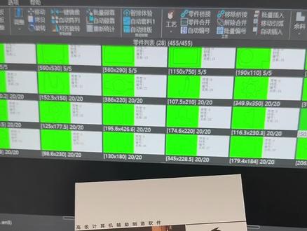 跟我一起学套料啊,#hinest定制版套料软件 #套料编程