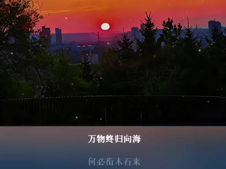 万物终归向海 何必衔木石来#音乐#精卫dj@DOU+小助手 @DOU+上热门