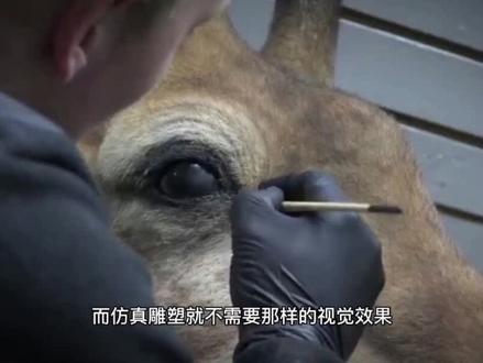 仿真雕塑和超写实雕塑是有区别的#科普 #宅春节涨知识