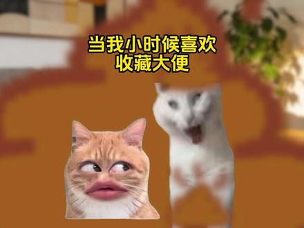 小时候的我喜欢收藏大便 #猫meme #搞笑 #猎奇 #第五人格#心动日常