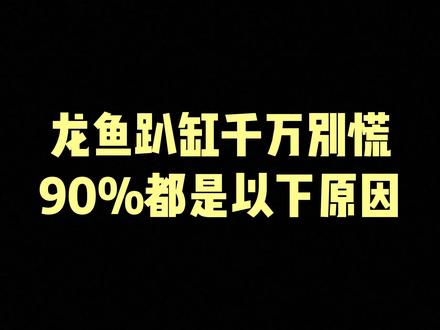 龙鱼趴缸你都是如何解决的?