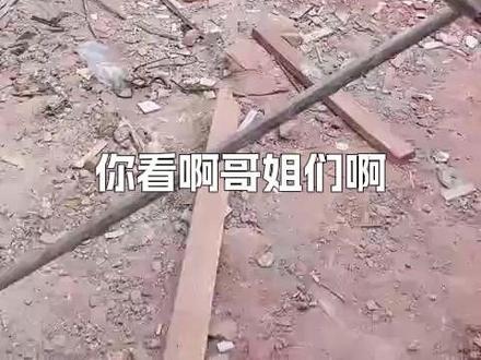 二哥三哥建房提上日程!小陈承诺“按顺序帮”,厨房彩钢瓦一下午 大哥神速,一下午就把厨房彩钢瓦盖好了!粉丝纷纷承诺等二哥三哥开工时要刷火箭、跑车庆祝,小陈感动不已。面对“帮娘家人”的质疑,小陈立下规矩:帮衬二哥三哥要按顺序来,能力有限一个个帮,只想带他们走出大山。直播中突遭飞蚂蚁“袭击”,小陈痛呼还要坚持带货,励志又心酸! #小陈的老挝媳妇儿 #小陈小梅一家 #万晨小陈在旅行 #小陈和老挝媳妇儿小梅 #老挝建房