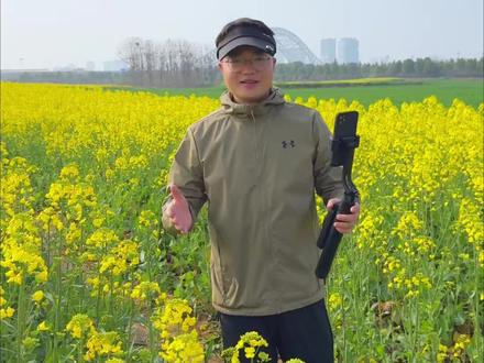 油菜花开啦.快来给自己拍一个短视频吧#手机摄影 #油菜花