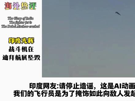 国外网友看印度光辉战斗机在迪拜航展坠毁,印度网友急了!