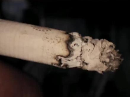 现在的烟到底怎么了?科普给你。#科普#烟#冷知识#小馆长