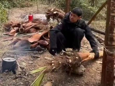 荒野极限挑战赛张老六豪华庇护所建造中……