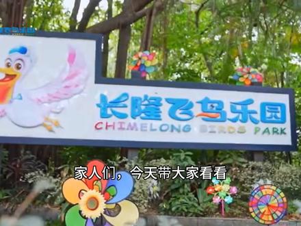 广州长隆飞鸟乐园研学一日游 ⏰ 全程时间安排·开启生态探索之旅
08:30-09:45 |整队出发·初探乐园
学校集合乘车前往长隆飞鸟乐园
有序下车,拍摄班级纪念合照
上午时段 |湿地精灵探秘
科普大讲堂·湿地精灵
发现鸟类生活技能,在导师讲解中重温古诗童谣
观赏鸳鸯捕鱼精彩瞬间,认识湿地生态系统
园区探索·动物探秘
穿梭奇妙精灵馆、鳄鱼岛、河马空间
观察金黄蟒蛇特征,了解鳄鱼成长历程
体验投喂河马乐趣,探寻动物奥秘
中午时分 |补充能量
享用园区营养简餐
下午时段 |深度探索
科普大讲堂·百鸟飞歌
置身原生态自然环境
欣赏近百只珍稀鸟类齐飞共舞的壮观场面
科普大讲堂·尼罗河谷
认识河马、红腹锦鸡、美洲鼠蜥
观察小香猪、水豚等动物萌宝的趣味生活
园区探索·鸟类生存环境考察
分组前往仙鹤湾、飞鸟奇域、朱鹦鹉林
探究温度、湿度等自然因素对鸟类生存的影响
傍晚时分 |收获返程
团队集合,带着满满收获愉快返回
备注:行程可能根据实际情况微调,以出团通知为准。
#长隆飞鸟乐园 #生态研学 #湿地探索 #自然教育 #秋游研学