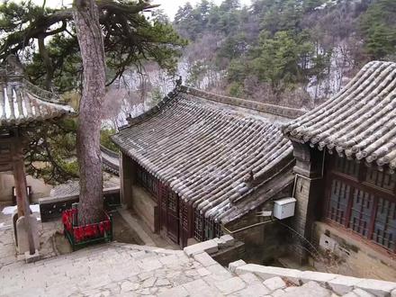 石家庄周边免费游玩地及出行攻略,第41期 山西盂县,一个能赏古建,品美食的地方,一个人少景美,可以慢慢逛的地方。
出行超方便✨
石家庄北站坐K1573,直达阳泉北站(就在盂县)
票价仅16.5元,绿皮火车1小时直达
傍晚K374返程,同样16.5元,一天轻松往返
✅超顺游玩路线:
报国寺→烈女祠(两景点相邻,一同游玩)
中午休息吃饭,下午逛西关三圣庙大殿→大王庙(相距仅700米,顺路省心)
当地出行:
打车起步价5元,随叫随到
也可骑共享电车,慢悠悠逛遍小城
全程景点免费,低成本解锁小众古建风光
不用走远,不用花大钱,就能邂逅一座静谧小城
周末有空,不妨来试试~
#石家庄周边游 #石家庄周边免费景点 #山西盂县 #小众旅行地 #一日游攻略