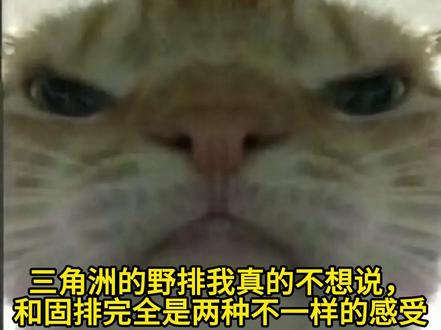 三角洲野排根本玩不了 #三角洲行动 #三角洲野排 #野排队友