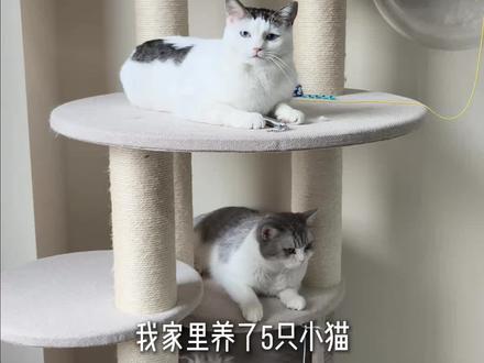 屋里就像发酵一样,打扫得再勤,味道还是散不去 我一年四季都在用这个喷雾,夏天更是少不了它#除臭喷雾 #宠物除臭喷雾 #萌宠好物