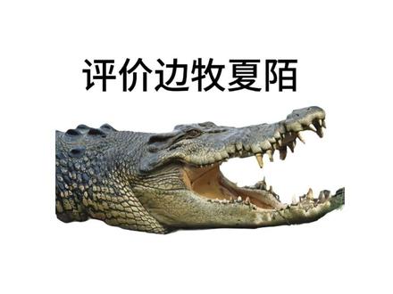 这俩神人都挺牛逼的 护卫犬别来找我 我保持中立态度 #辩论 #吐槽 #牧神 #边牧 #锐评