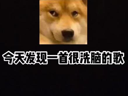 完了,又是一首洗脑歌曲啊哈哈哈哈 @抖音小助手