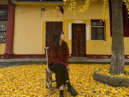 #追一场初冬限定的银杏雨 主播,我的幸福什么时候发货啊