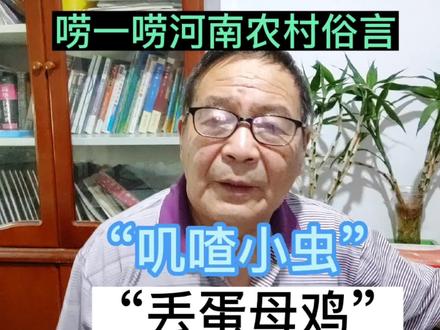 “丢蛋母鸡”和“叽喳小虫”,唠唠河南地方农村俗言