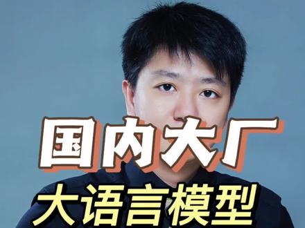 国内大厂大语言模型战略的急功近利#chatgpt #人工智能 #gpt4 #chatgpt应用领域 #大语言模型