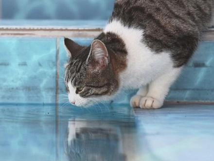 #创作灵感 剪辑基础功能,比例和背景功能148期。#剪辑背景 #剪辑基础 #剪辑教程 #剪辑